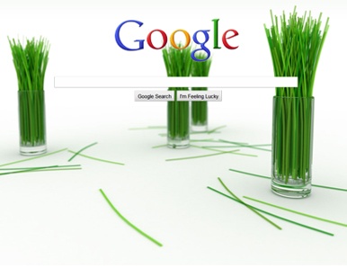 Google apuesta por el biocombustible