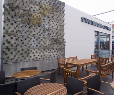 El jardín vertical de la nueva tienda de Starbucks en Gefafe