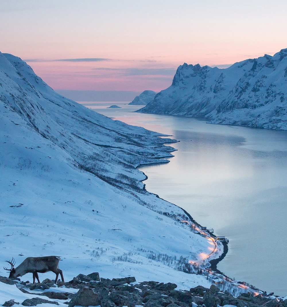 Irismedia trabaja para Turismo de Noruega