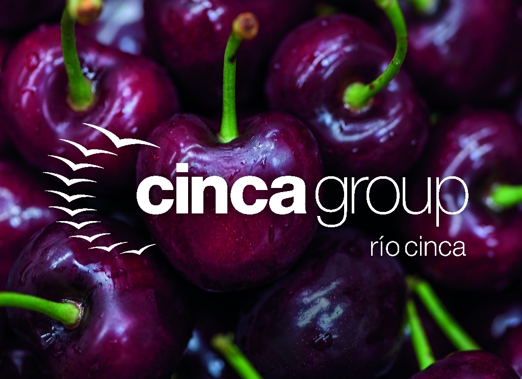 Cinca Group adjudica su cuenta a Compact FMRG