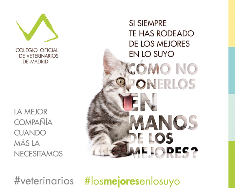 Los veterinarios son #LosMejoresEnLoSuyo