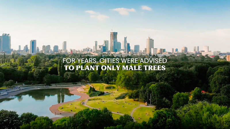 Campaña de Bayer por la reforestación con árboles hembra