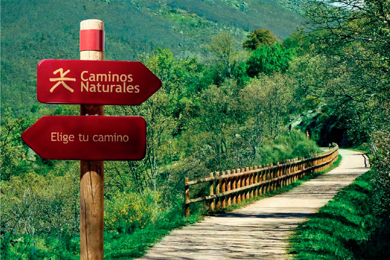 Conoce los Caminos Naturales de España de la mano de MediaSapiens