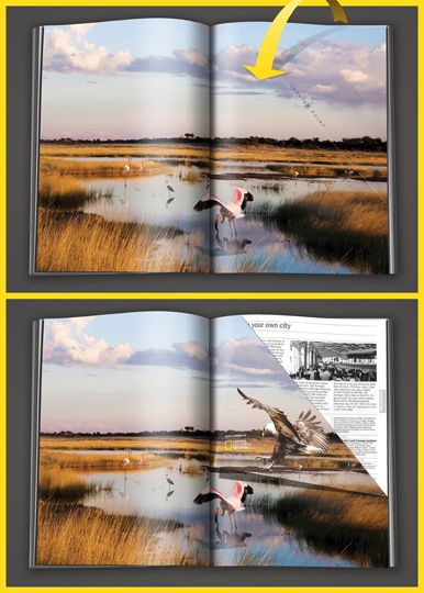 La doblez inesperada de National Geographic
