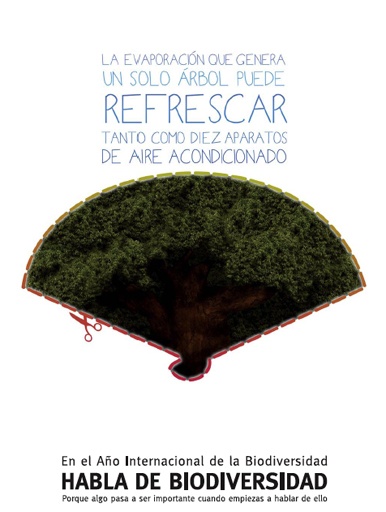 Campaña 