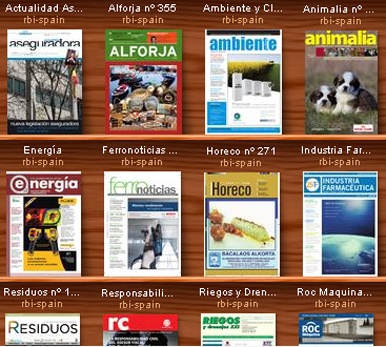 RBI España multiplica su negocio en Internet