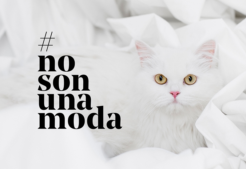 Perros y gatos #NoSonUnaModa