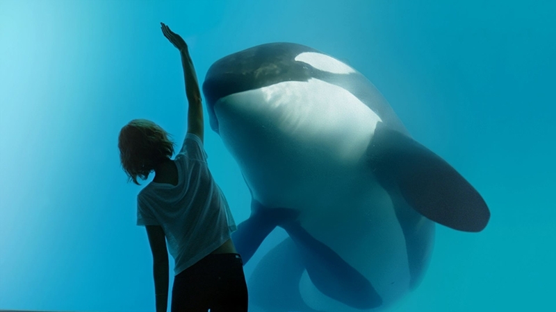 Una orca que enamora en el nuevo spot de Orange