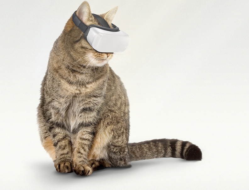 Ya hay gafas de realidad virtual para gatos