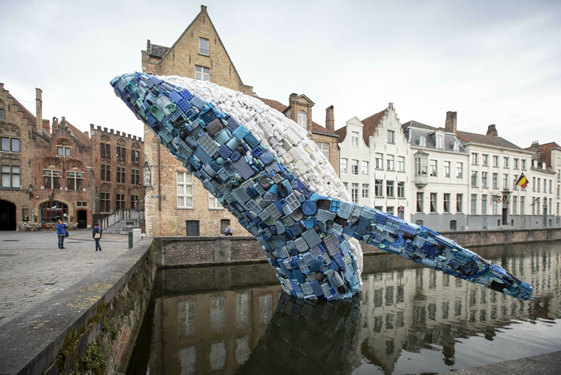 Una ballena gigante denuncia la contaminación marina en Bélgica