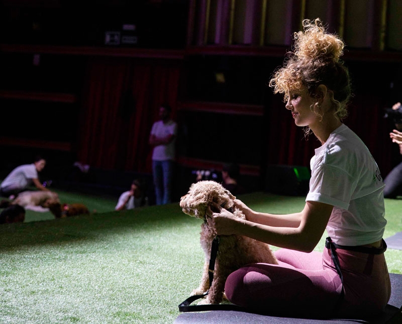 Clase de yoga canino organizada por Purina en Madrid