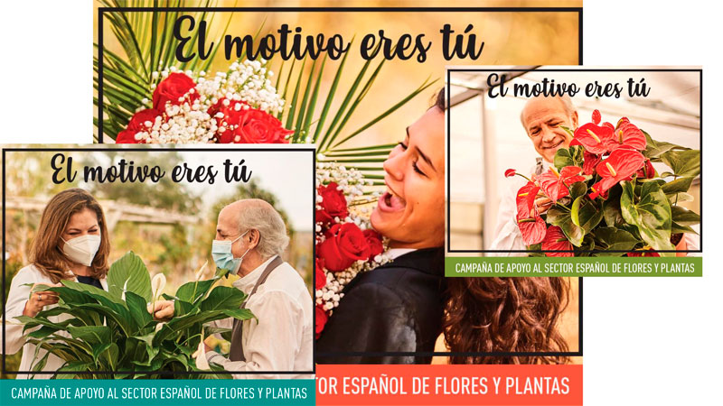 Campaña para fomentar la compra de flores y plantas