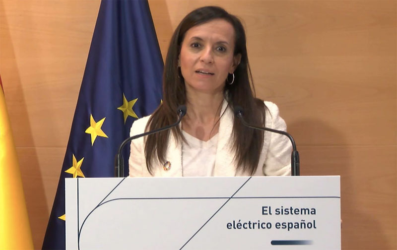 Presentación virtual del informe sobre el sistema eléctrico
