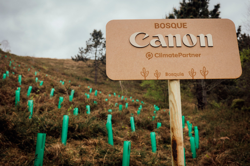 'Bosque Canon', un proyecto de reforestación en Asturias