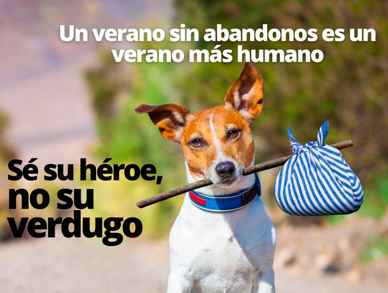 Campaña contra el abandono de perros en verano