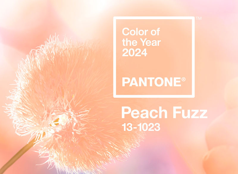 Peach Fuzz es elegido color Pantone para 2024