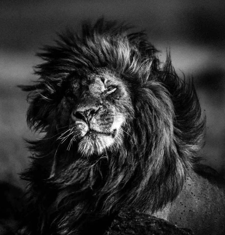 Jurado español para Cannes Lions