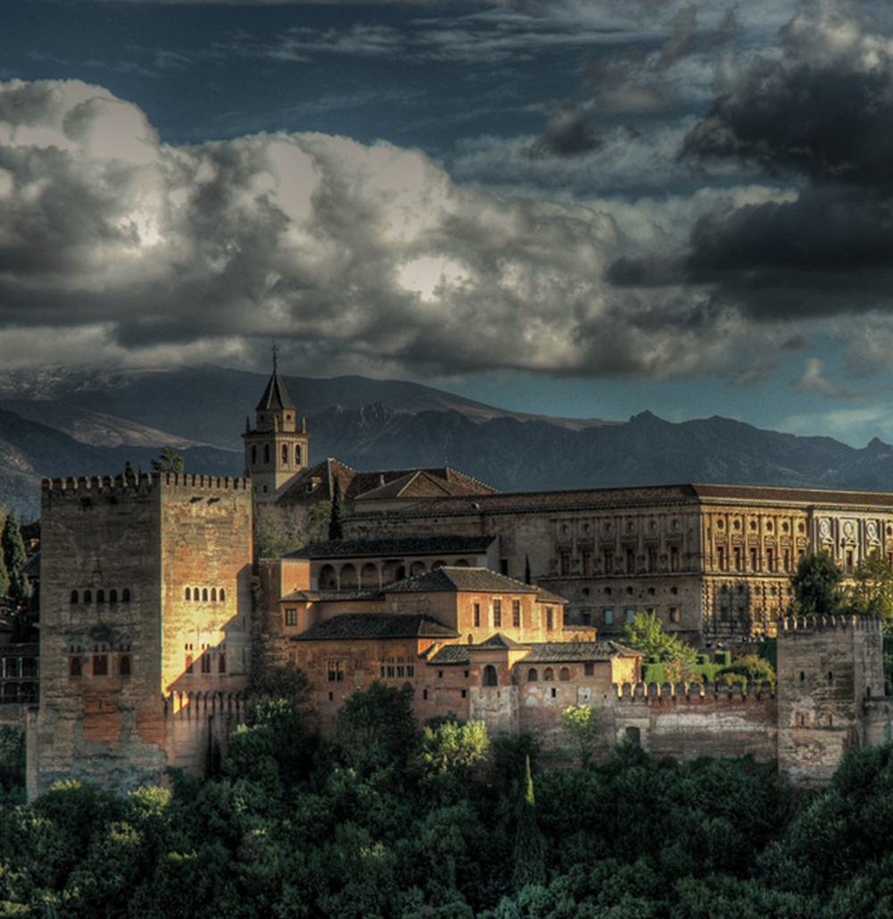 Nueva cuenta para Irismedia