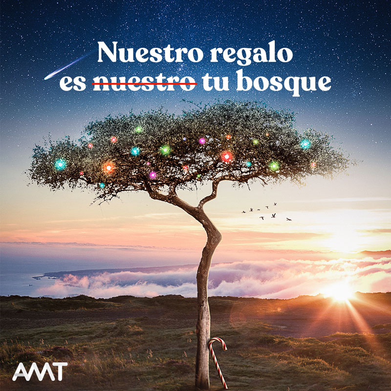 El inusual regalo navideño de AMT Comunicación