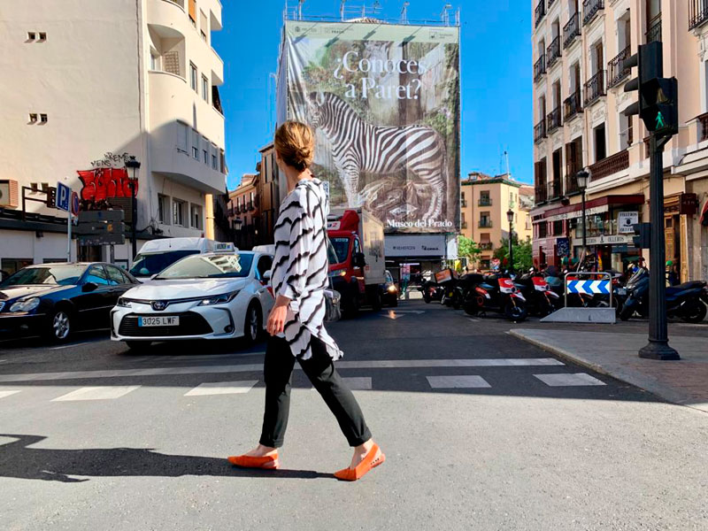 El Museo del Prado saca a la calle la Cebra de Paret