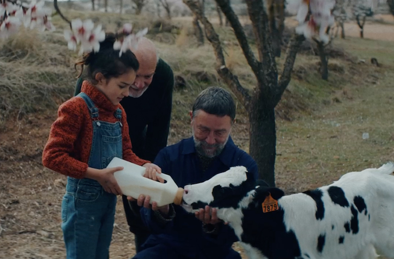 "Nunca dejemos de crecer", nuevo posicionamiento de Pascual