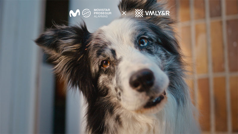 Movistar-Prosegur "quita el trabajo" a los perros guardianes