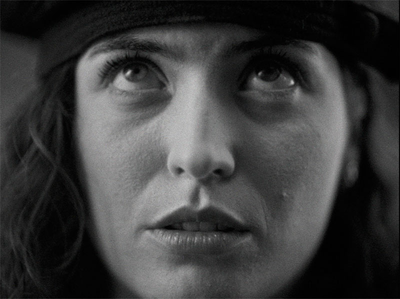 El Festival de Sitges 2023 evoca el terror de "Los pájaros"