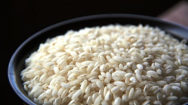 Optimedia gana Ebro Foods