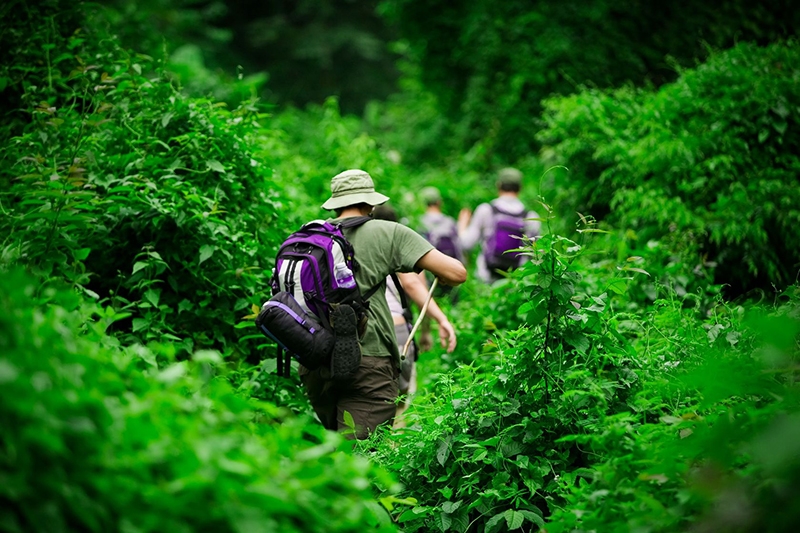Aventura en buena compañía, el viaje ideal para la mayoría