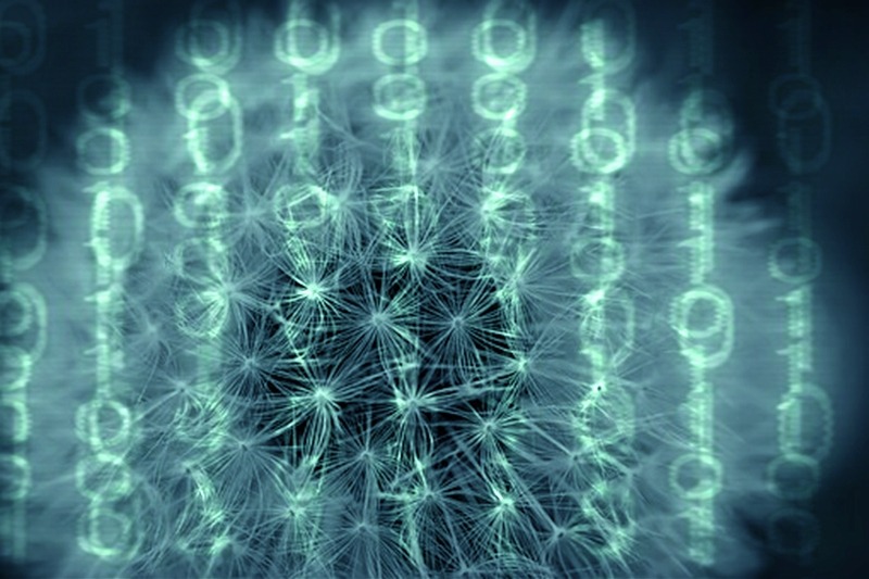De nada sirven los datos, si no sabemos convertirlos en "insights"