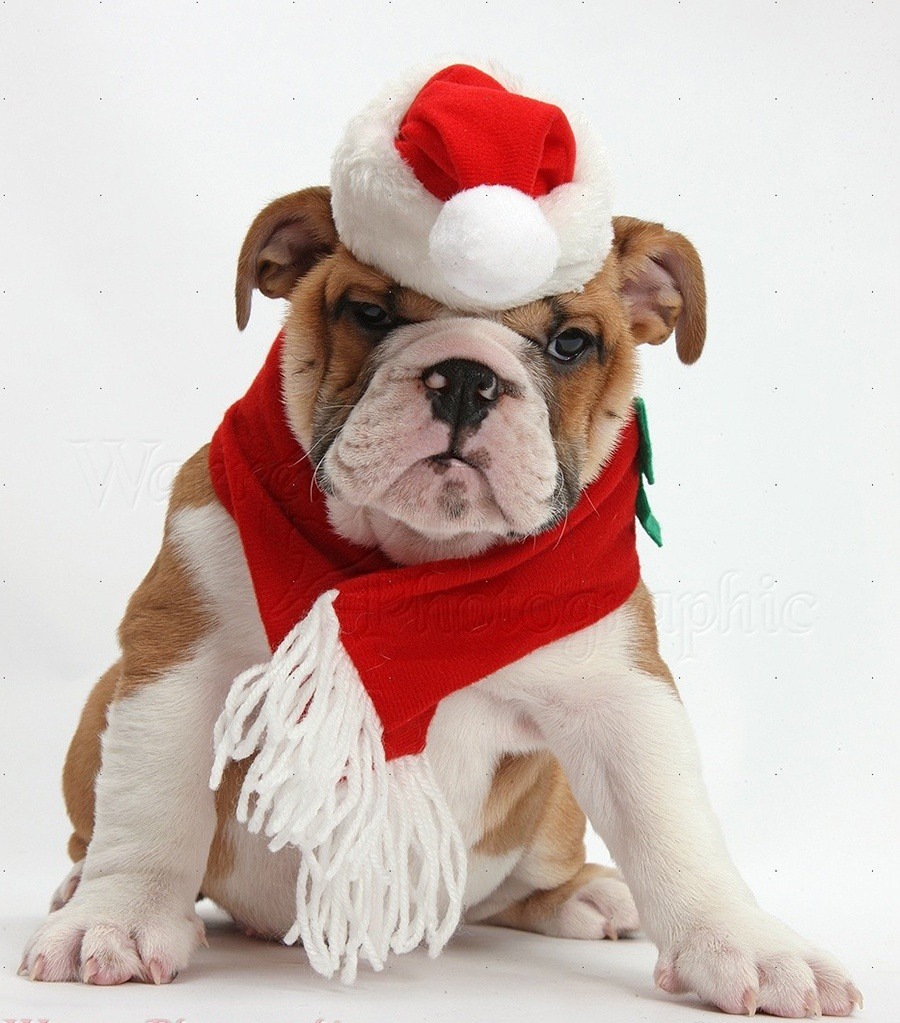 11 millones de regalos no deseados