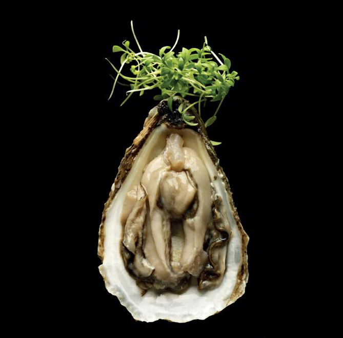 Gastronomía erótica