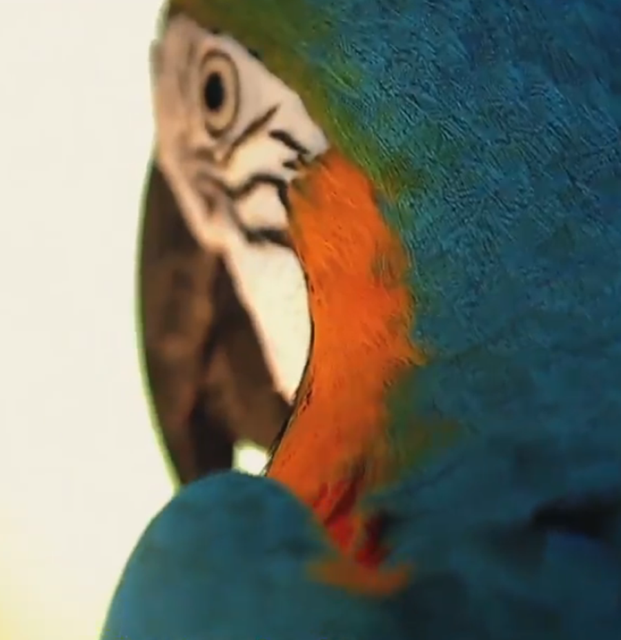 Brasil se prepara para el Mundial