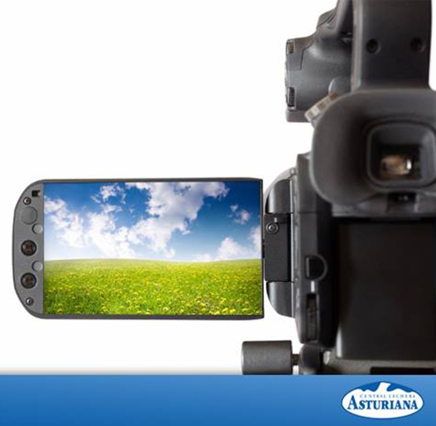Webcams en Central Lechera Asturiana