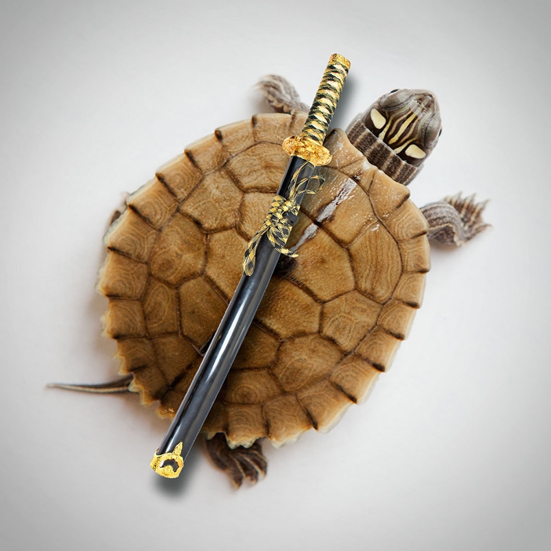 Tugui, la tortuga aspirante a Ninja se estrena en Instagram