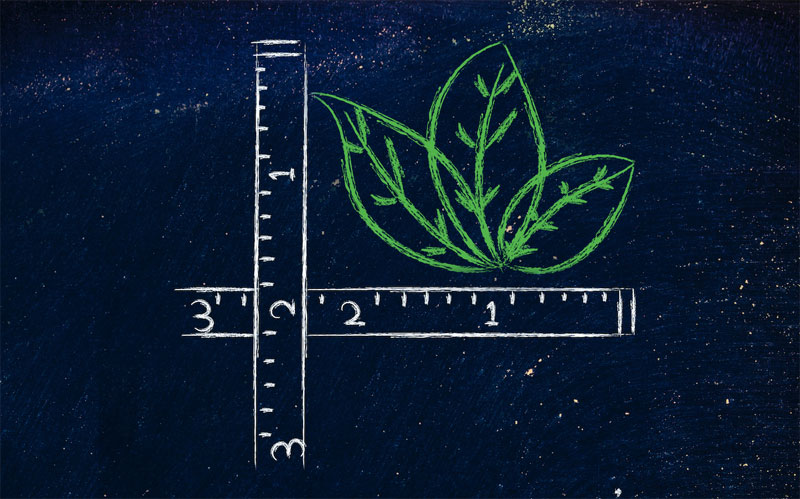 5 pistas para que tu Informe de Sostenibilidad genere valor a tu marca