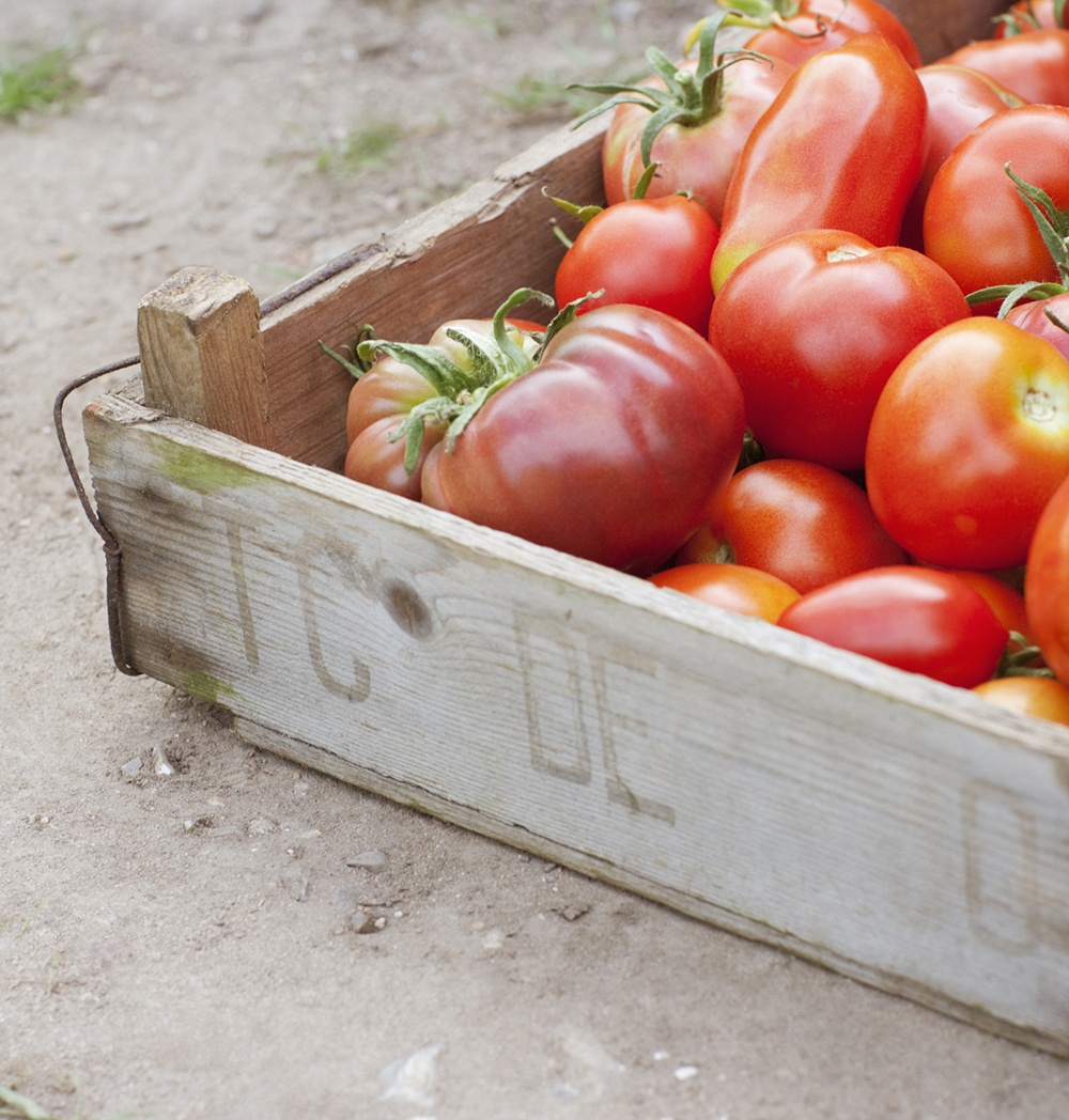 Knorr se suma a la lucha contra el cambio climático