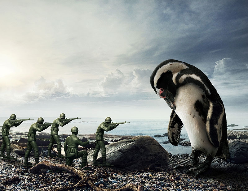 Plástico, arma de destrucción masiva de animales marinos