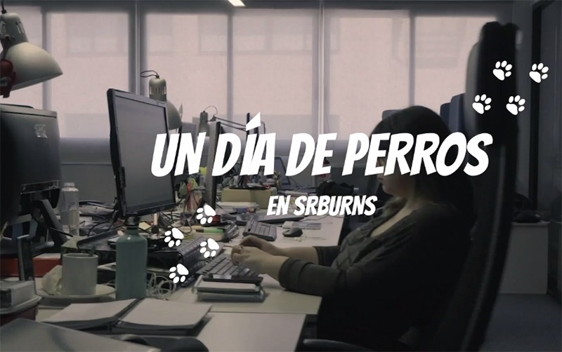 Así se vive un "día de perros" en la agencia Sr. Burns