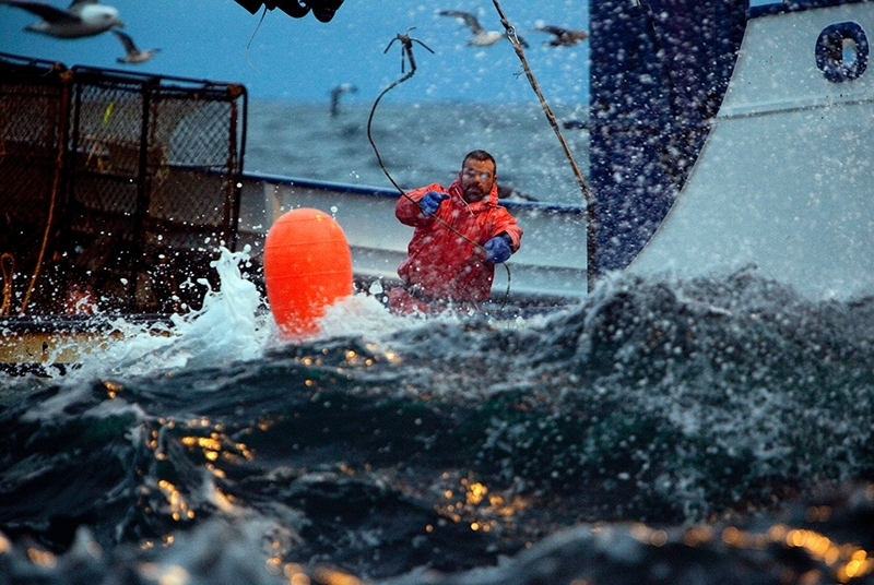 Lo mejor de Discovery Channel en Movistar+