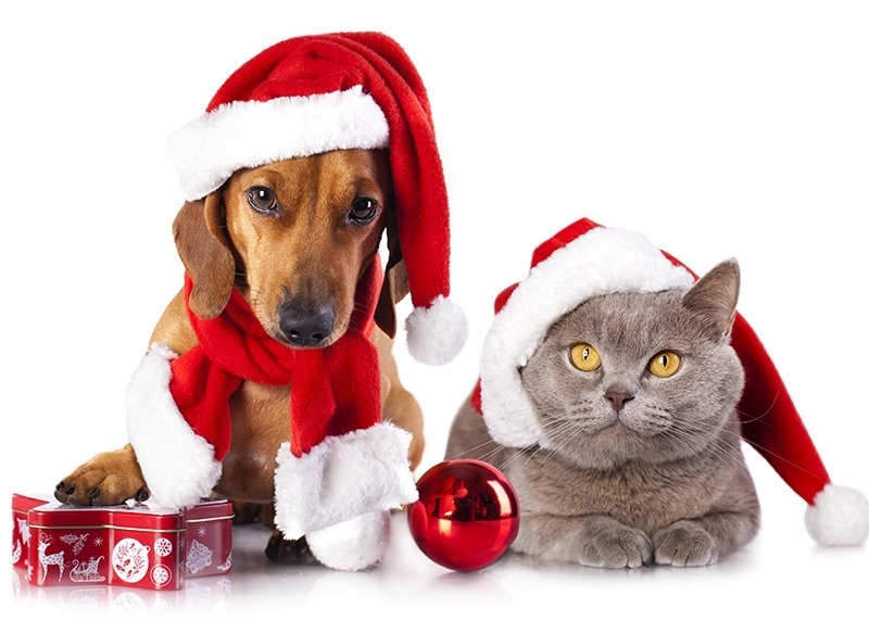 2 millones de españoles recurren al re-gifting tras las Navidades