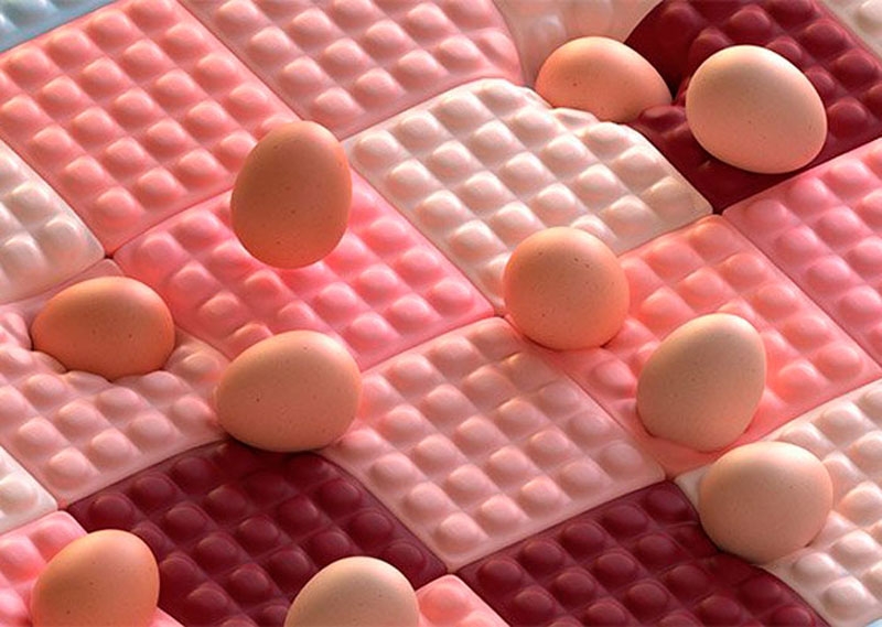 Los irresistibles GIFs de los Egg McMuffins