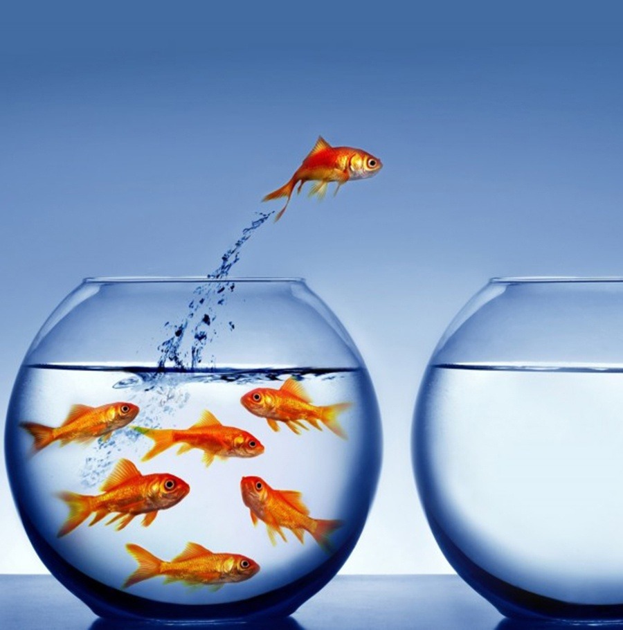 El número de emprendedores crece un 12%