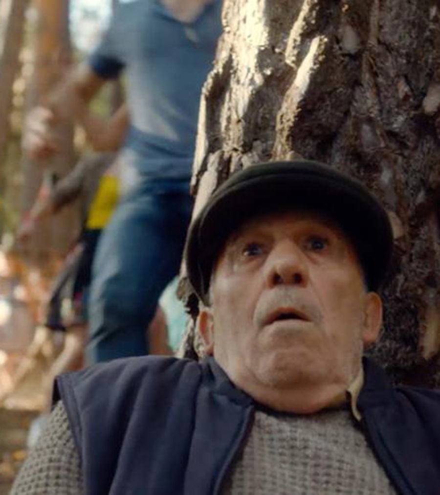 "Fauna Fanta", lo nuevo de McCann