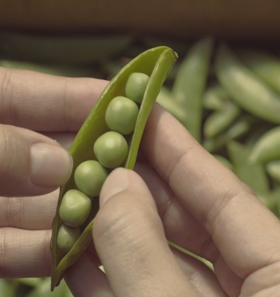 Findus apuesta por sus verduras