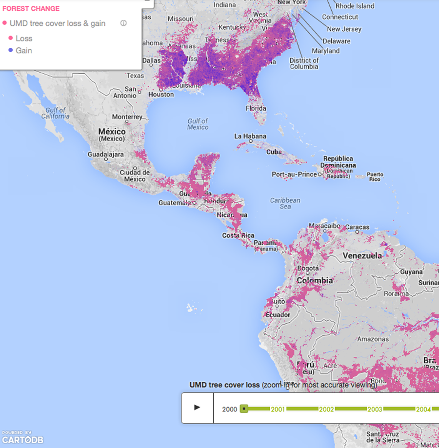 La NASA y Google controlarán la deforestación