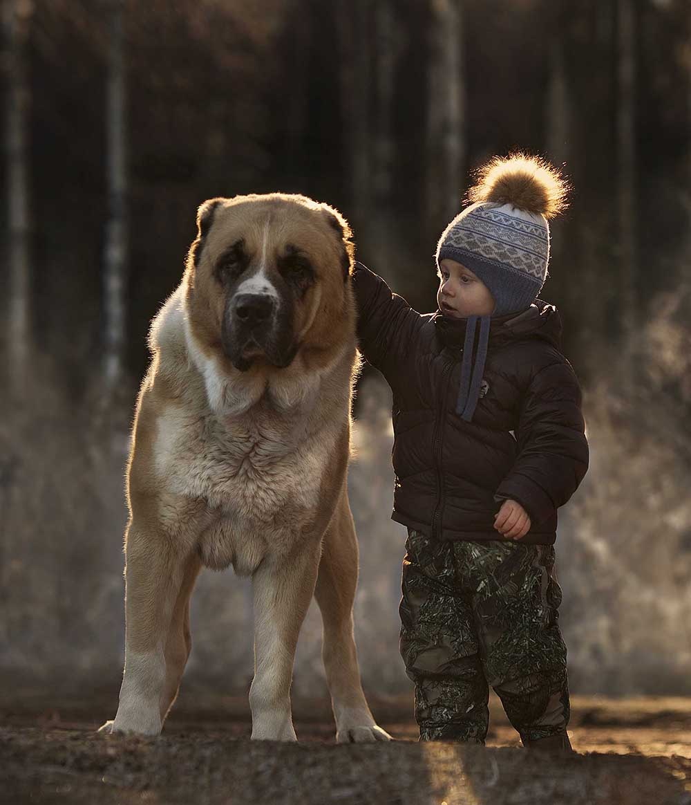 Los animales no son juguetes y los niños lo saben