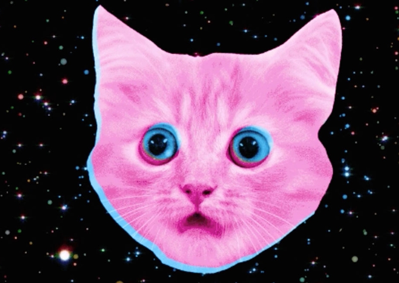 Los gatitos de este spot mandan un mensaje muy importante