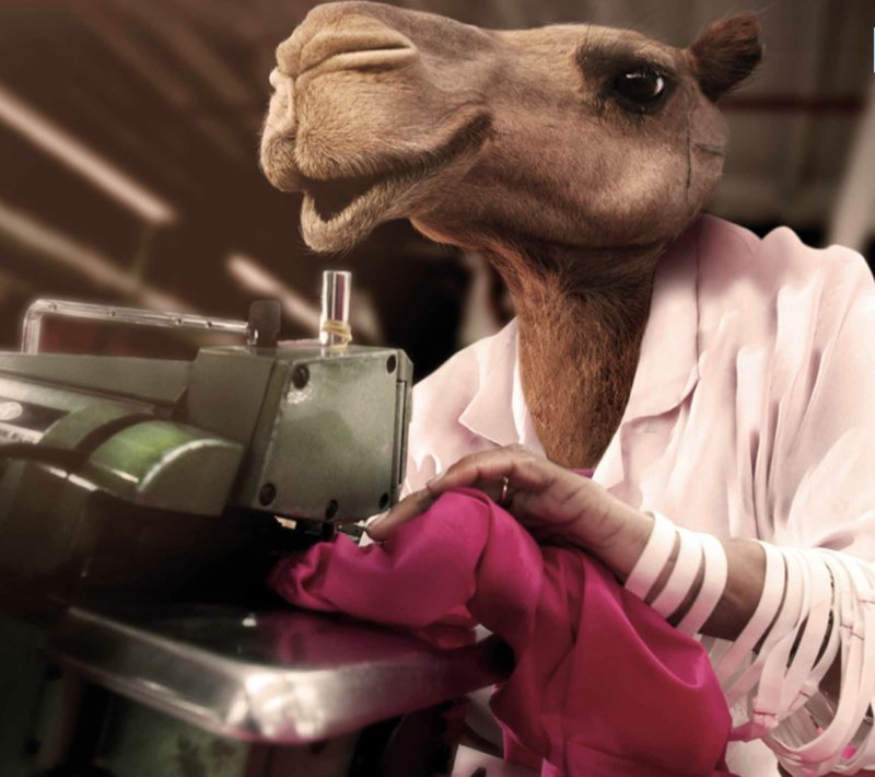 En el trabajo, que no te obliguen a hacer el animal