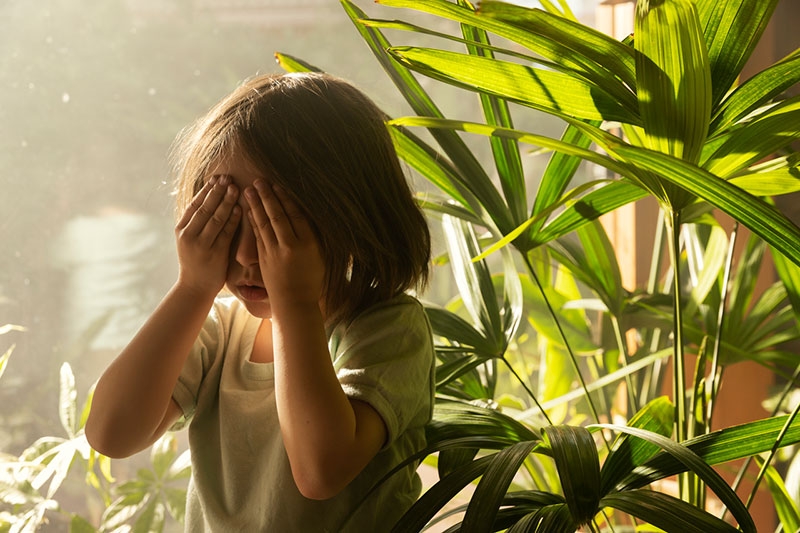 VELUX destaca la importancia de reconectarse con la naturaleza